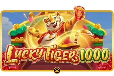 Cricket match odds guide on bd betting for Bangladesh mobile readers